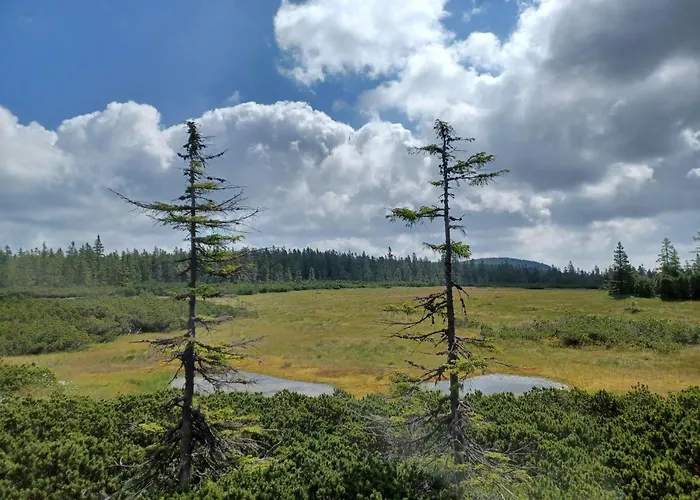 Semesterbostad Hill 32 By Interhome Cista (Hradec Kralove)